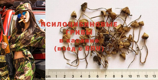 прущая мука Киреевск